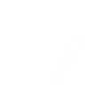 GZW|NET